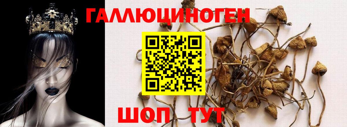 Галлюциногенные грибы GOLDEN TEACHER Каспийск